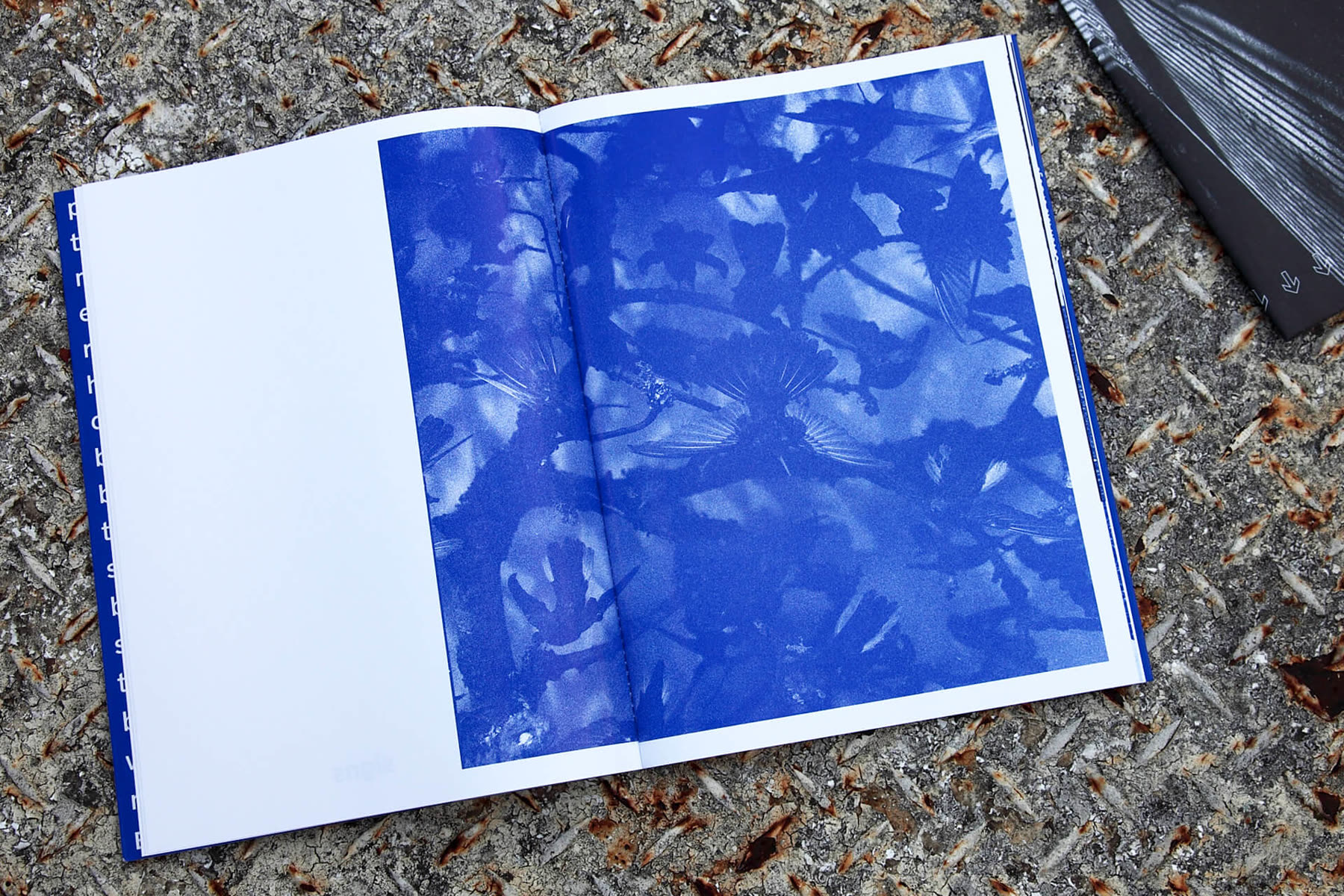Open catalogue with a spread printed entirely in blue